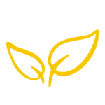 Beanstalk logo
