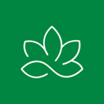 Saatvy logo
