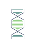 Yemaachi Biotechnology logo
