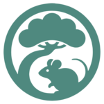 Linzumi logo