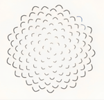 Conifer logo