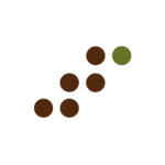 6thSense logo