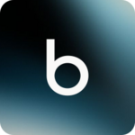 Blaise logo